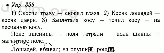 Русский 8 класс номер 355. Русский язык 5 класс упражнение 355. Русский язык 5 класс ладыженская 355 упражнение.