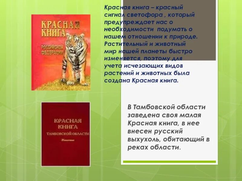 Красная книга. Проект красная книга. Проект красная книга России. Красная книга 2 класс. Сделать красную книгу окружающий мир