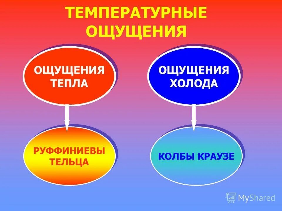 27 ощущения. Тепловые ощущения. Температурные ощущения. Температтурныевиды ощущений. Температурные ощущения в психологии.