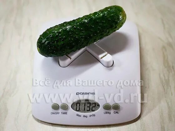 10 огурцов сколько грамм. Огурец короткоплодный вес 1 шт. 1 огурец сколько грамм. огурец средний вес 1 шт. огурец сколько грамм в 1 шт.