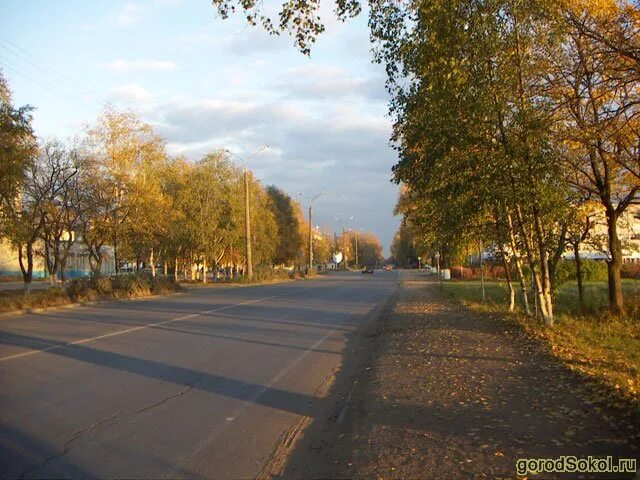 Сокол город улицы. Город сокол дом улица горького 15. Город сокол школа 5. Город сокол вологодская область лдк улица вологодская. Улицы города сокол.