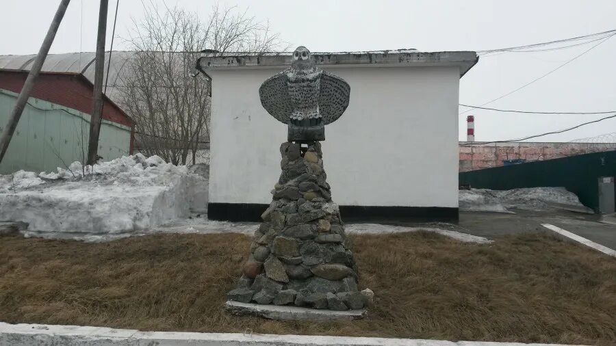 Полярная сова воеводин. Колония ик 18 полярная сова. ик-18 «полярная сова» в поселке харп. поселок харп колония полярная сова.