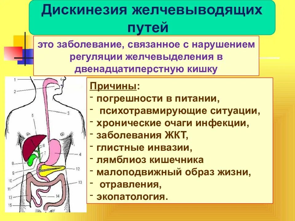 Диагноз джвп расшифровка. Дискинезия желчевыводящих путей. Дискинезии желчевывод. Путей. Причины дискинезии желчевыводящих путей. Дискинезия желчевыводящих путей симптомы.