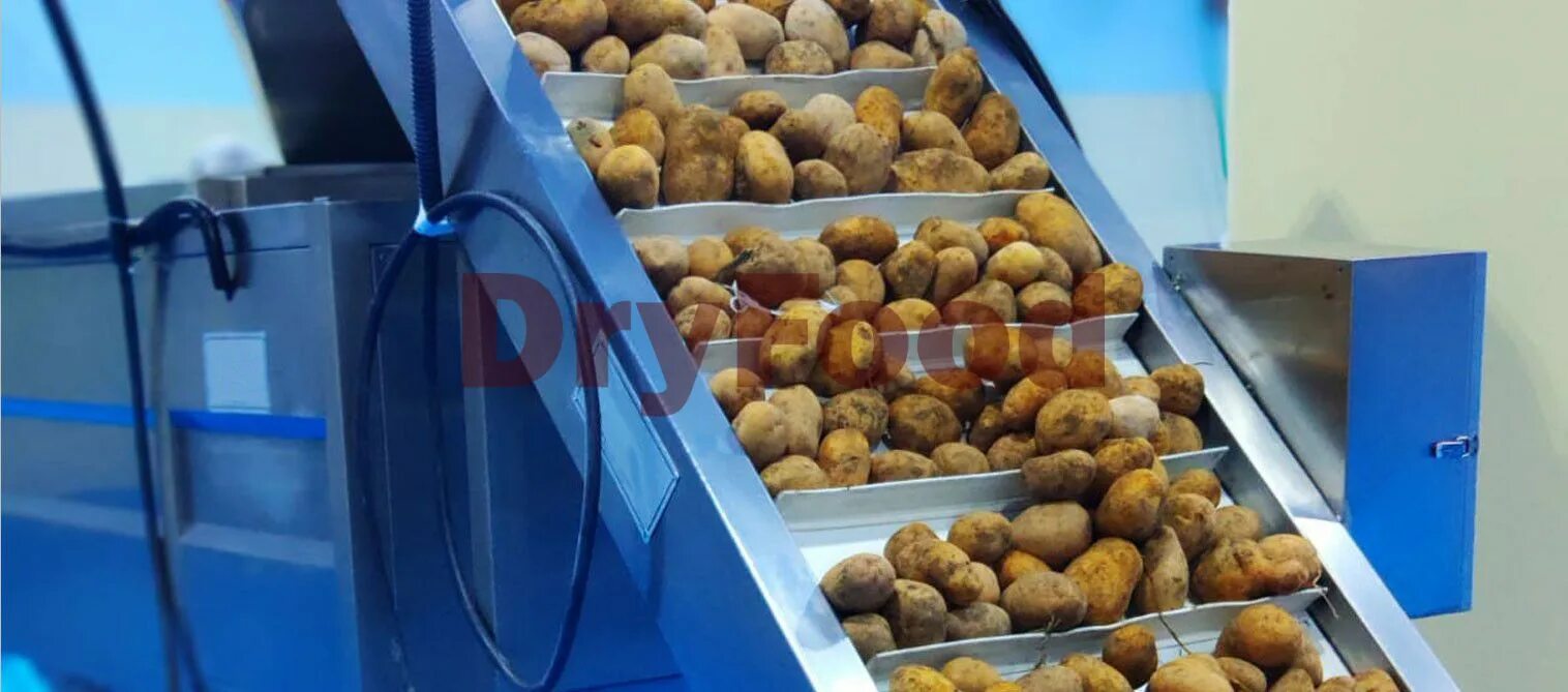 аппарат для упаковки чипсов. оборудование для затаривания картофеля. завод по производству картофеля фри. аксентис линии переработки картофеля. линия производства картофеля фри.