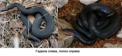 Уж и простым делом