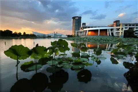 Zhejiang university