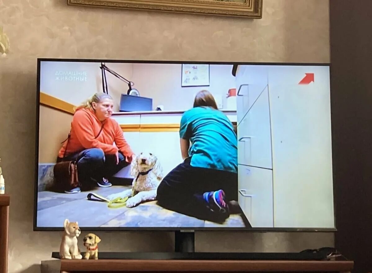 Samsung ue58au7570u 2021 led hdr. Samsung ue43au7100u. Samsung ue58au7570u 2021 led hdr. телевизор samsung ue55tu7570u. Samsung ue50tu7500u.