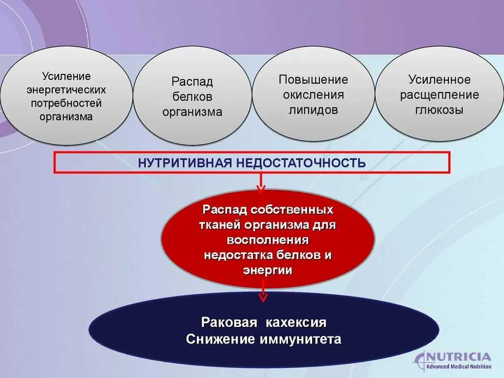 Распад белков в организме. Продукты распада белка в организме человека. Причины повышения распада белка. Усиленный распад белка в организме. Распад белка в организме