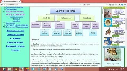 Какие биотические отношения сложились