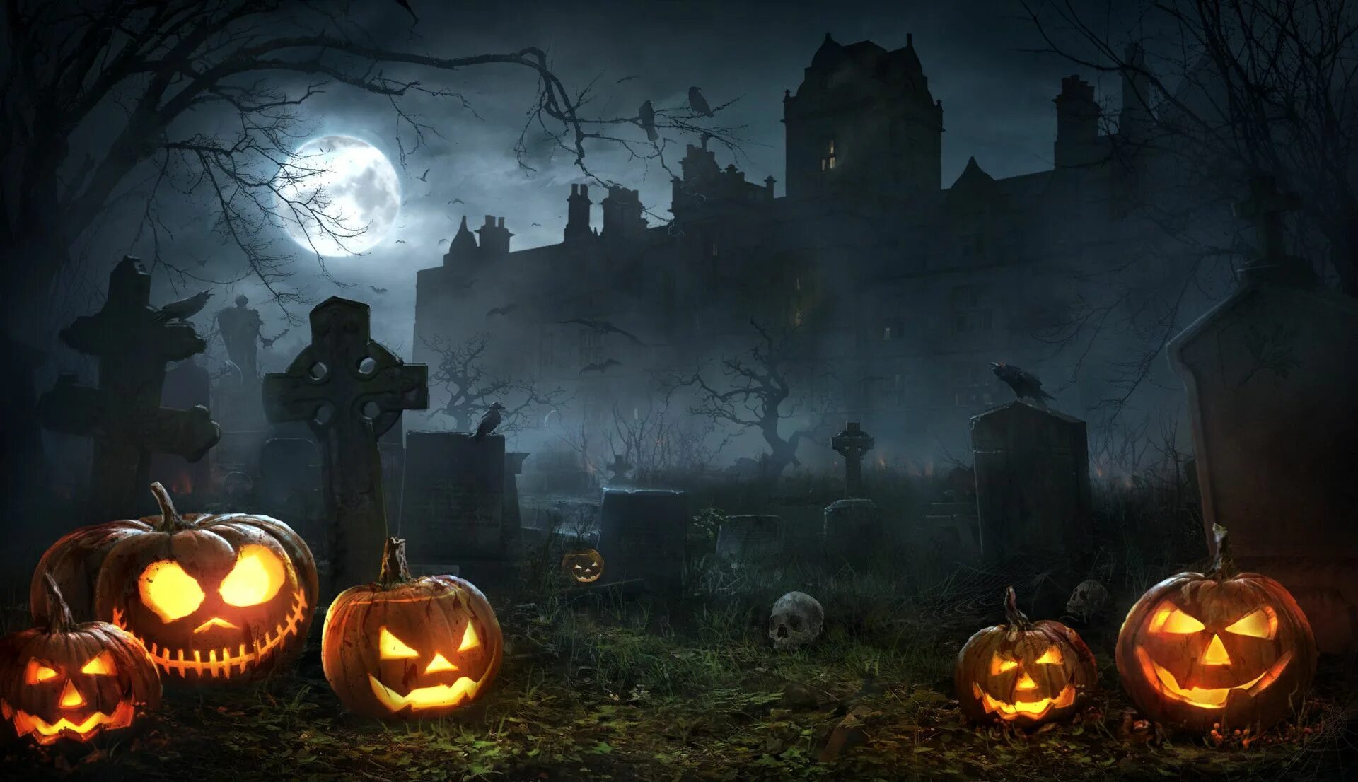 Хэллоуин 3 ноября 2025. Helloween тыква лес. хеллуинские фотоэстетиа. хэллоуин бэкграунд. хэллоуин фон.
