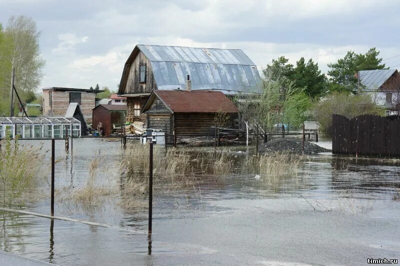 Гисметео ельцовка алтайский край. Село Ельцовка Алтайский край. Ельцовка Троицкий район Алтайский край. Ельцовка (Ельцовский район). СНТ театральный Новосибирск.