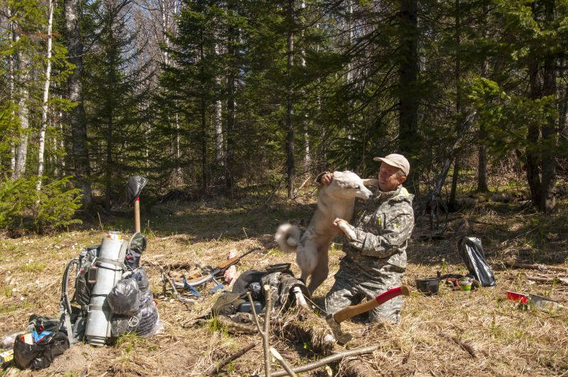 Тайга поход. Туризм по тайге. Черневая тайга кузнецкий алатау. Туризм в тайге. Поход в тайгу.