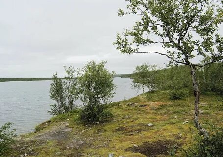 Погода канентъявр мурманская