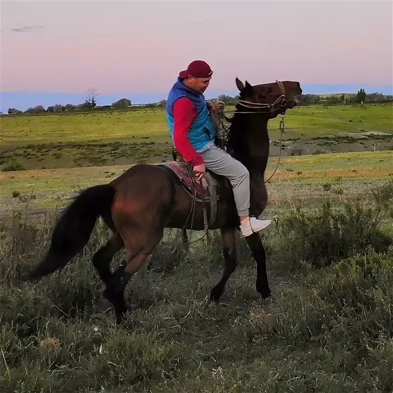 Наадым национальный праздник тувинцев. Адыг-тюлюш ирина болатовна. Адыг-тюлюш чульдум. Село чаа-суур республики тыва. Чабанская стоянка тыва тува.