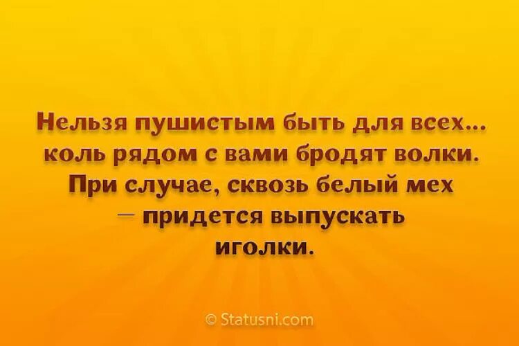 Замуж за глупого. Замуж нужно выходить. Замуж нужно выходить по молодости. Не жалуйся на жизнь. Жалуясь на жизнь.