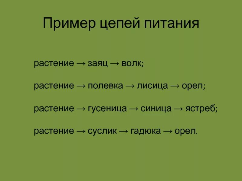 Ястреб дрозд гусеница крапива пищевая цепь