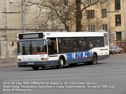 Велико 103
