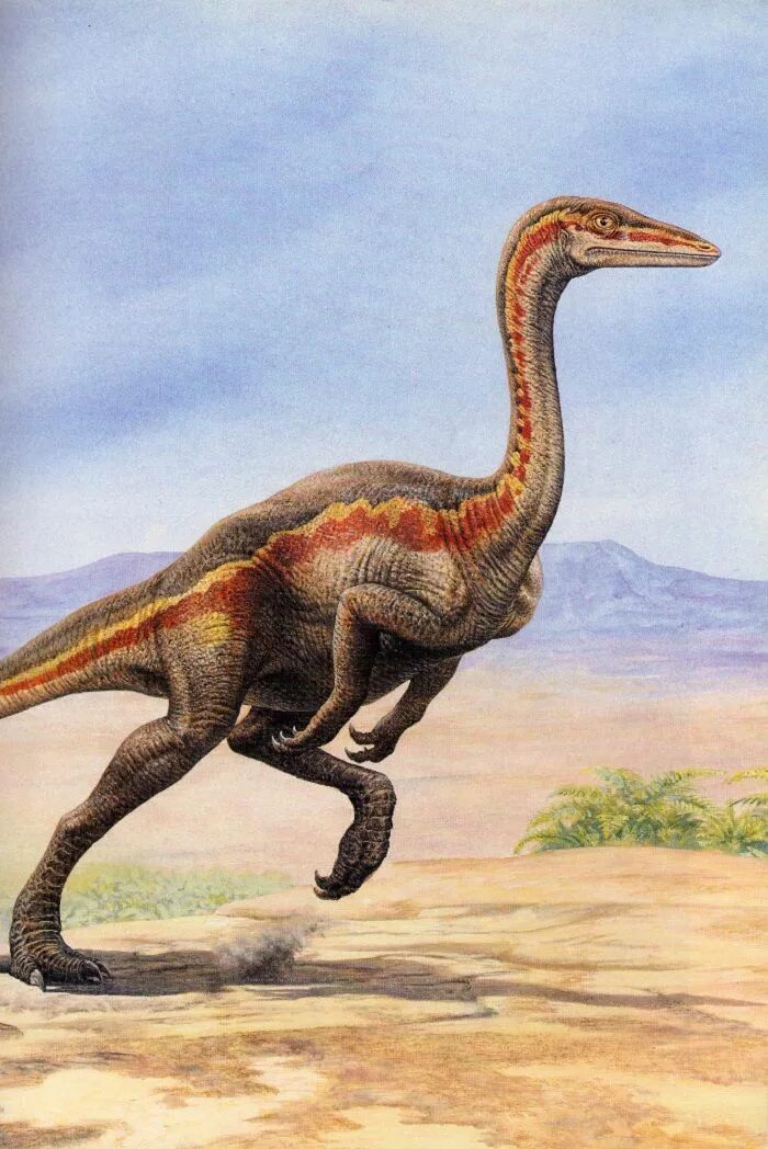 Хищный динозавр 12 букв. Орнитомимус. Джон Сиббик палеохудожник. Орнитомим динозавр. Динозавры Триасового периода.