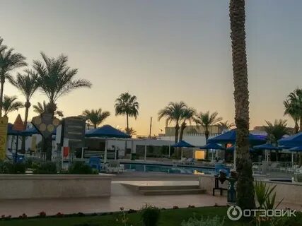 Beach albatros sharm 4 отзывы
