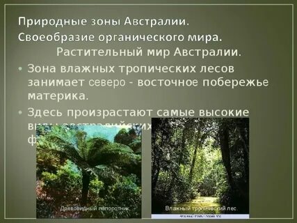 Природный и растительный мир австралии