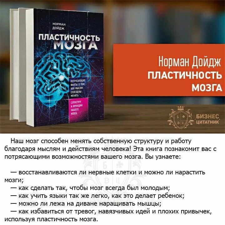 Пластичность мозга 2025. Пластичный мозг книга. нейропластичность мозга книга.
