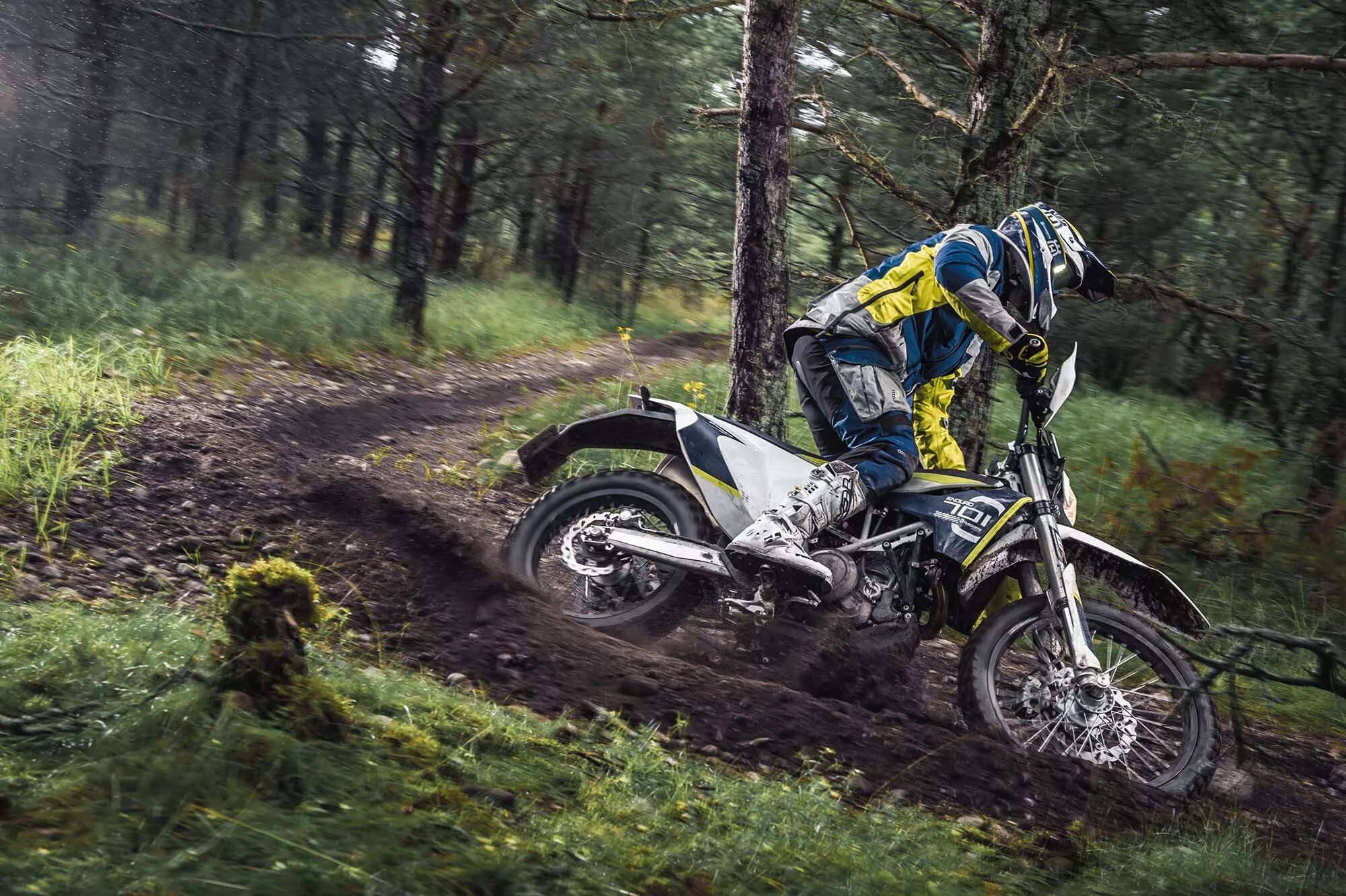 Husqvarna 701 Enduro. Husqvarna 701 Enduro в лесу. Хускварна Хард эндуро. Лес мото эндуро. Мотоцикл эндурик