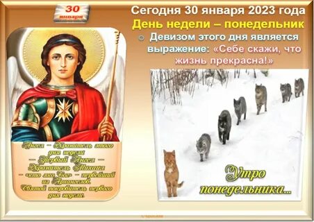 30 января 21 года