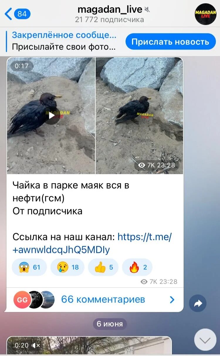 Magadan телеграм канал. Вакансии логотип. Magadan телеграм канал. Magadan телеграм канал. Magadan телеграм канал.