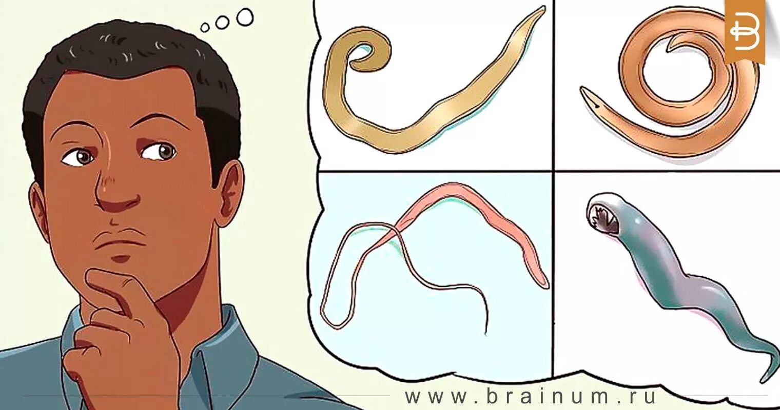 Любовь паразита