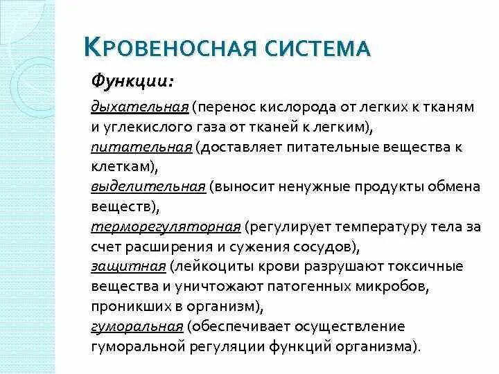 Кровеносная система человека функции кратко. Основные функции кровеносной системы. Какую функцию выполняет кровеносная система. Кровеносная система функции кратко.