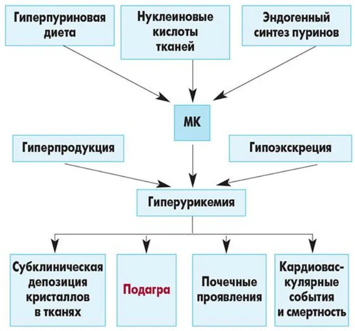 Гиперурикемия что. Гиперурикемия механизм развития. вторичная гиперурикемия причины. причины и проявления гиперурикемии. основные причины гиперурикемии.
