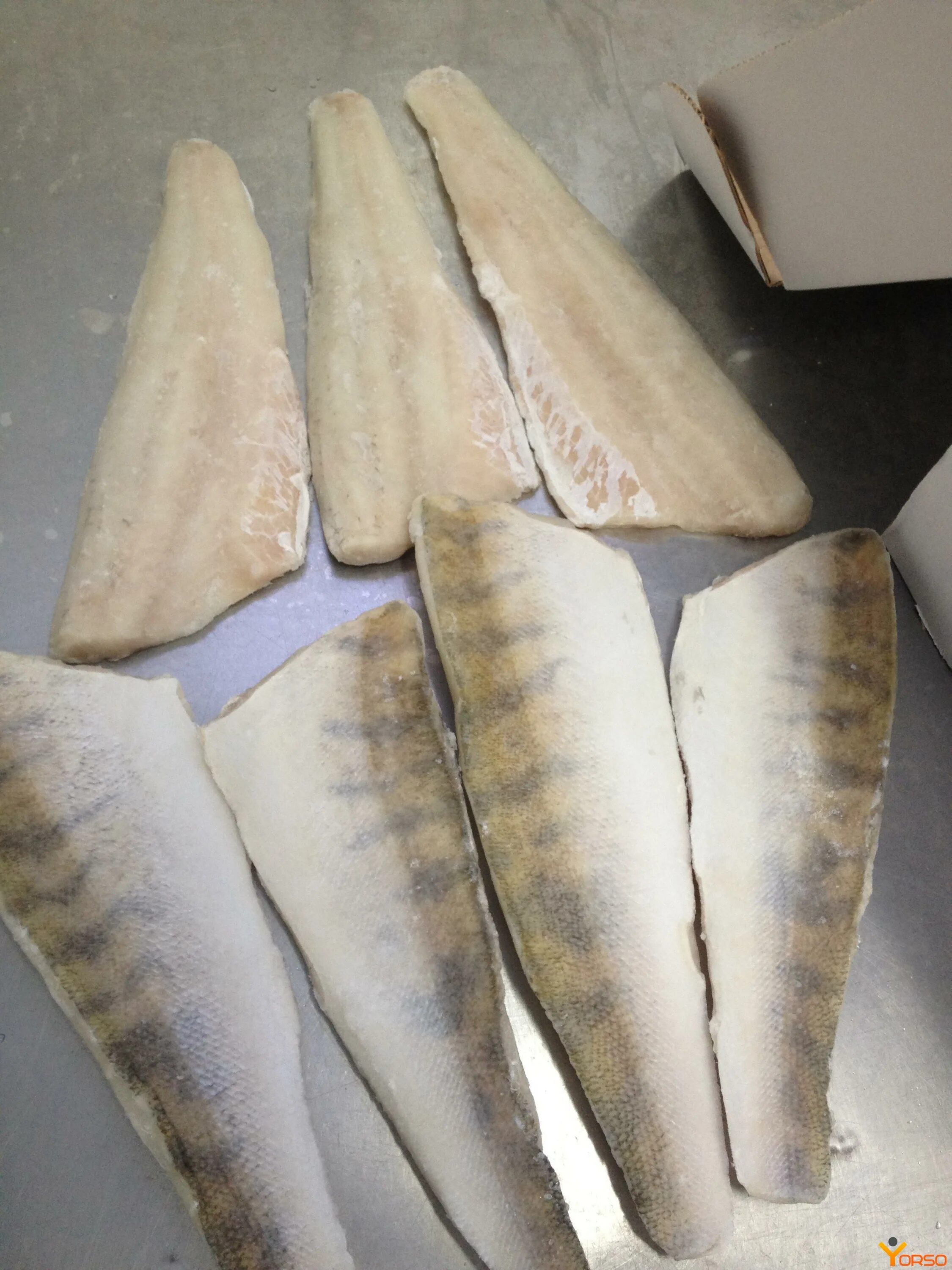 Судак рыба. Уклейка свежемороженая купить. Чехонь судак вяленые. Судак оптом. Судак оптом.