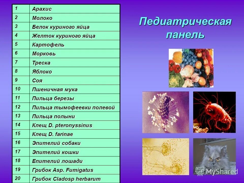 Панель рида. Панель номер 4 аллергены. Панель аллергенов педиатрическая 4. Педиатрическая панель 20 аллергенов. Ингаляционная панель 20 аллергенов.