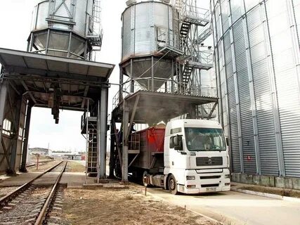 Безопасность комбикормов
