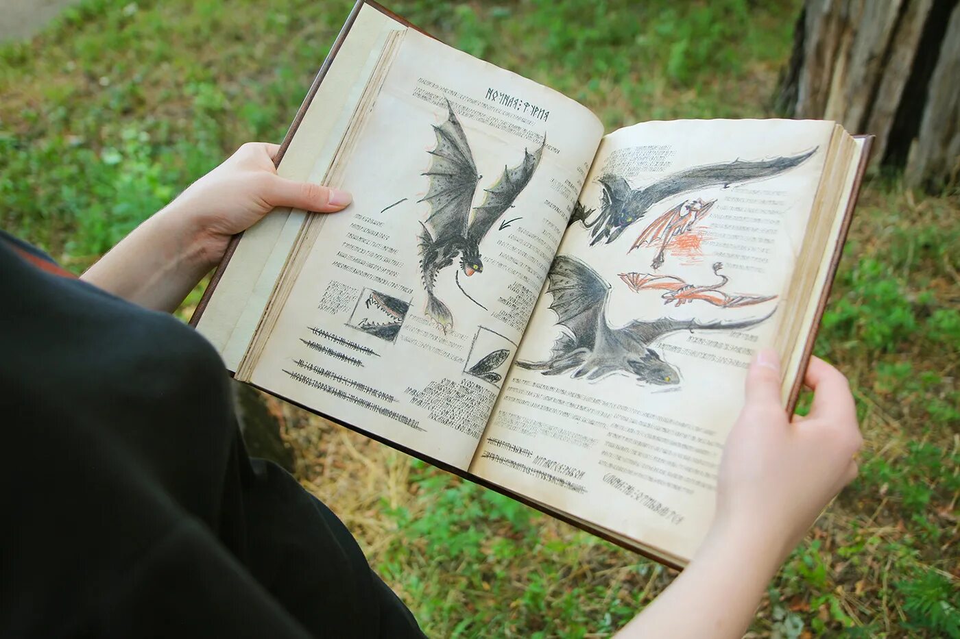 Книга подарок дракона. Дракон с книжкой. Книга дракона. Книга драконов. Дракон из книг.