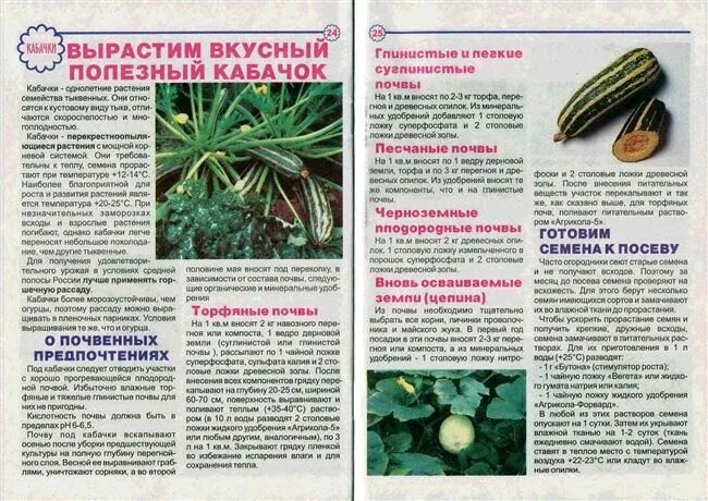 Оптимальная температура для огурцов в открытом грунте. Температура для огурцов. температура для рассады огурцов. рассада огурца минимальная температура. рост рассады огурцов по дням.