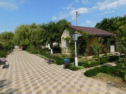 Дорожник голубицкая отдых