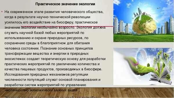 Значение экологической работы. Практическая экология. практическое значение экологии. экологическая значимость. практическая значимость экологии.