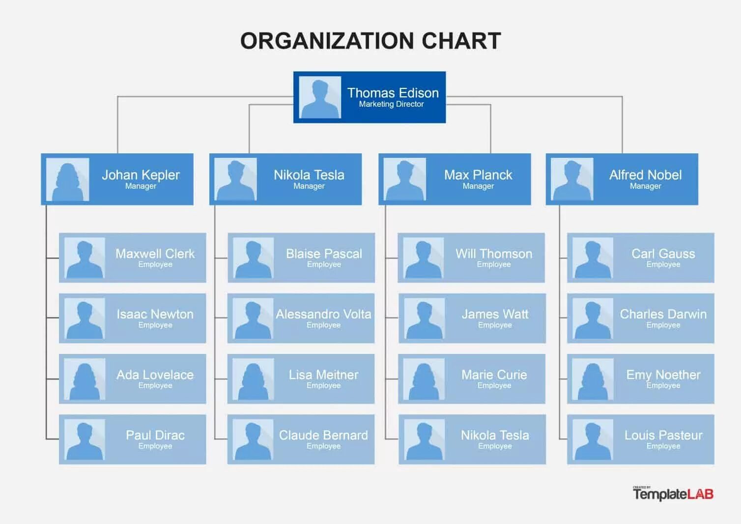 Organization Chart. Организационный чарт. Org Chart шаблон. Организационная диаграмма. Marketing organization