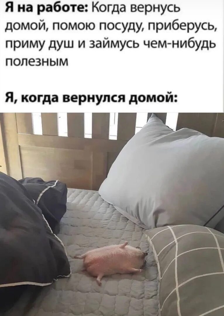 Когда он закончился