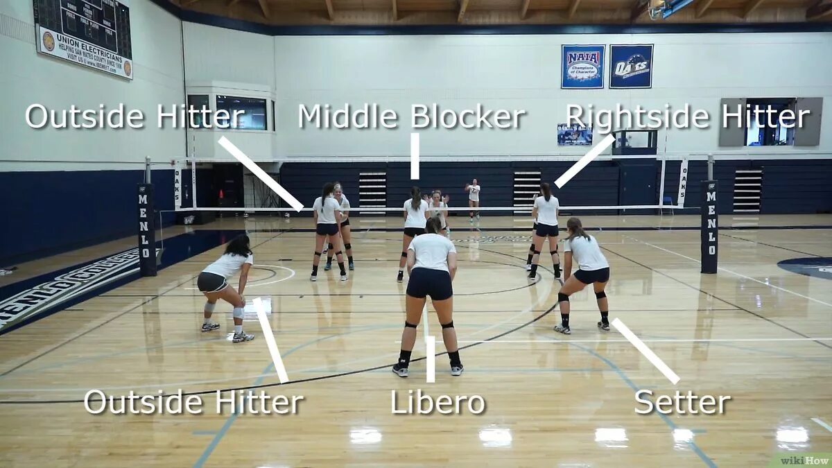 Игрок в волейболе в 3 зоне. Волейбол Либеро связующий. Позиции в волейболе. Название позиц на волейболе. Позиции в волейболе картинка.