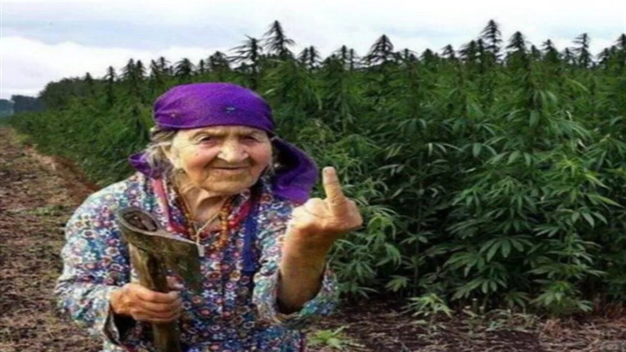 Granny с русским матом. Бабушка показывает. Средний палец бабушки.
