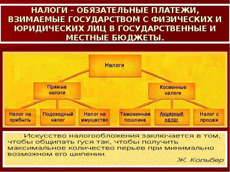 Налог это обязательный платеж. Налоги взимаемые с физических лиц. Налогообложение государства. Признаки государства налоги.