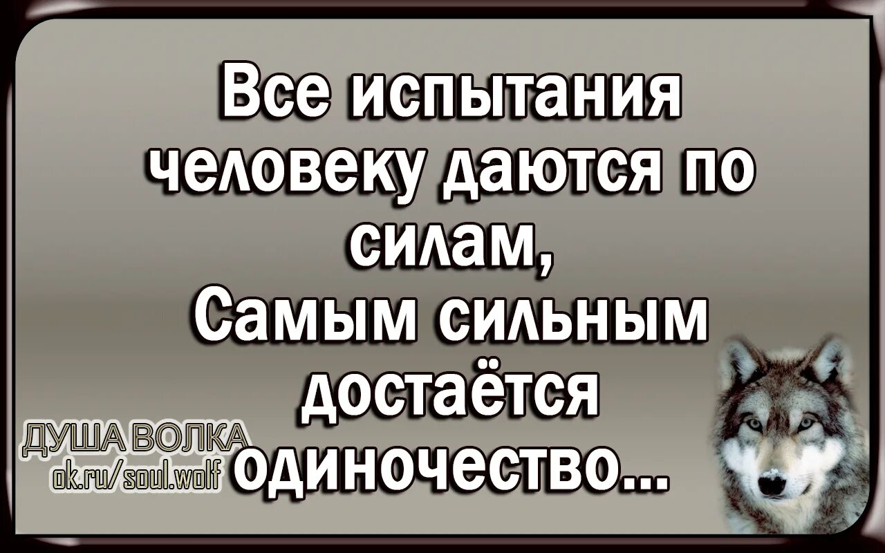 Из всей жизни можно извлечь одну мудрость