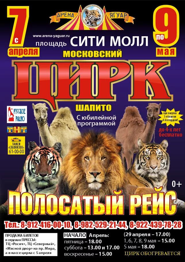 Программа шапито. Цирк шапито арена ягуар. московский цирк арена ягуар. московский цирк шапито ягуар. арена ягуар цирк тольятти.