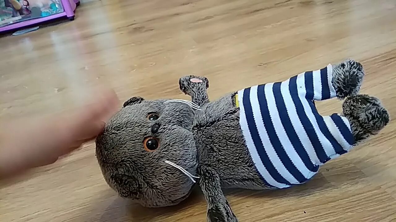 Басики своими руками. Одежда для басика из носка. одежда для кота басика. басик одежда для басика. одежда для басика из носка своими руками.