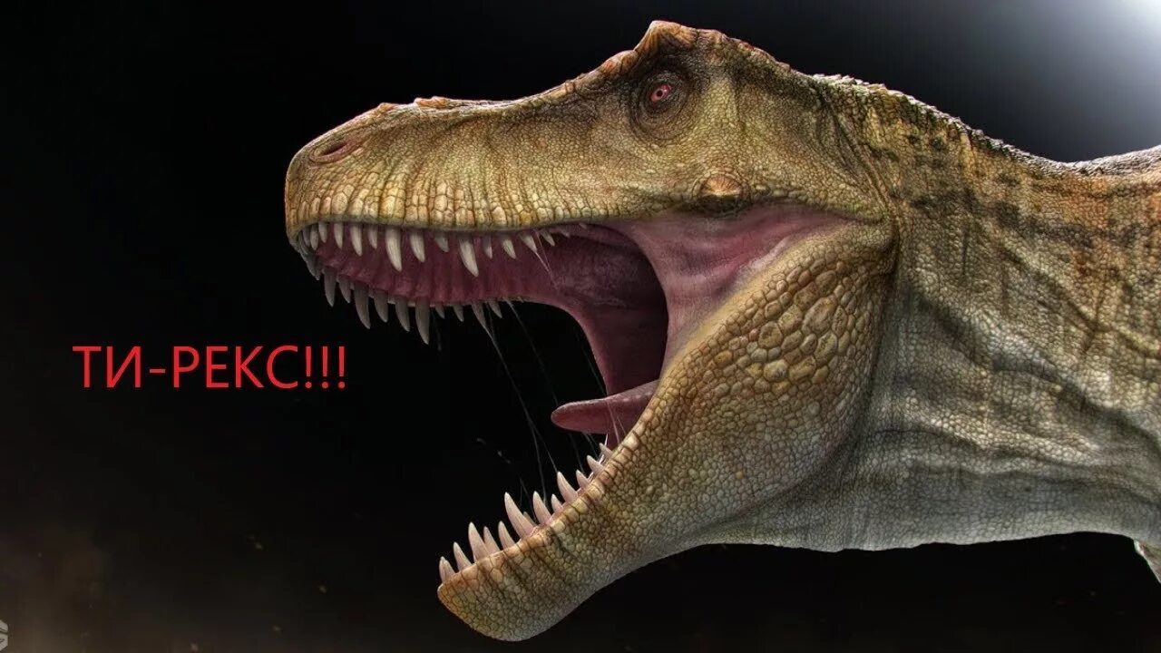 Ти рекс король динозавров. Тираннозавр мезозой. T Rex Тираннозавр. Тирекс Король динозавров.
