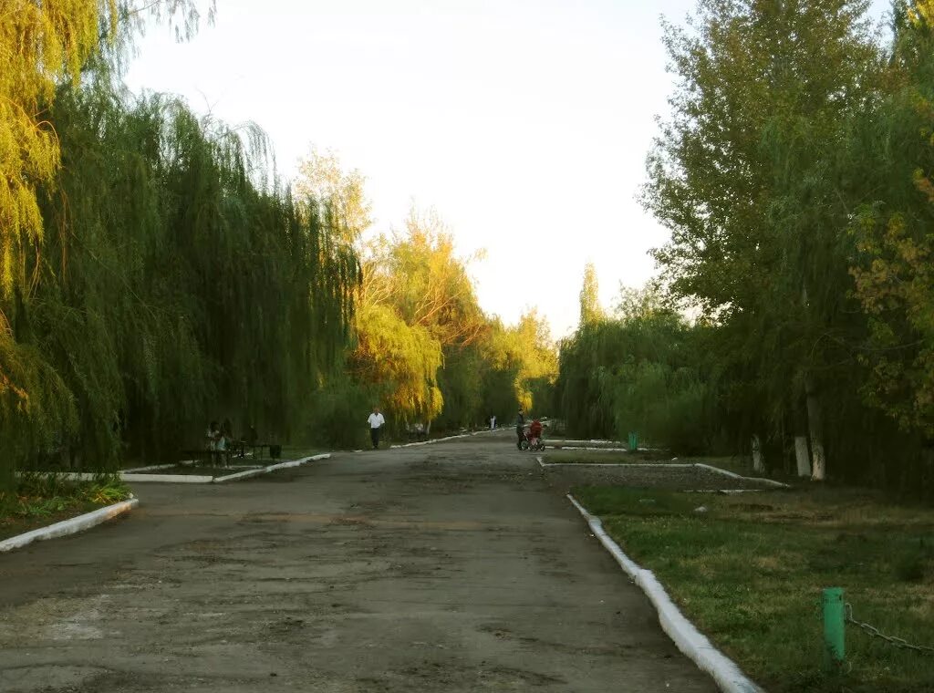 красный кут саратовской области проспект победы 17 космических зорь. красный кут проспект победы. красный кут проспект. красный кут проспект победы фото. красный кут проспект.