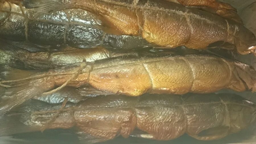 Рыба муксун холодного копчения. Муксун филе с/с в/у. Питание белорыбицы. Нельма красная книга республики коми. Нельма холодного копчения.