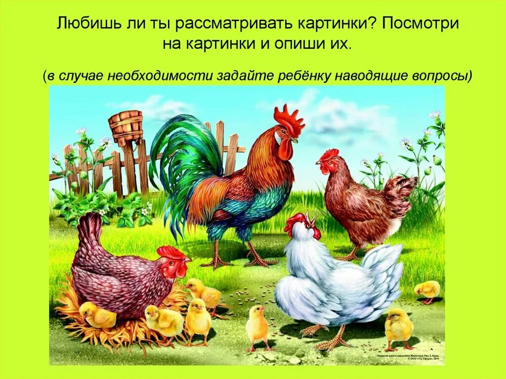 домашних животных для детей. домашние животные для дошкольников. домашние птицы задания для детей. домашиние животные и их детёныши. домашние животные для детей.